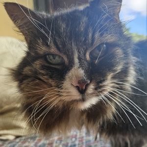 Meet your Posher, Mason